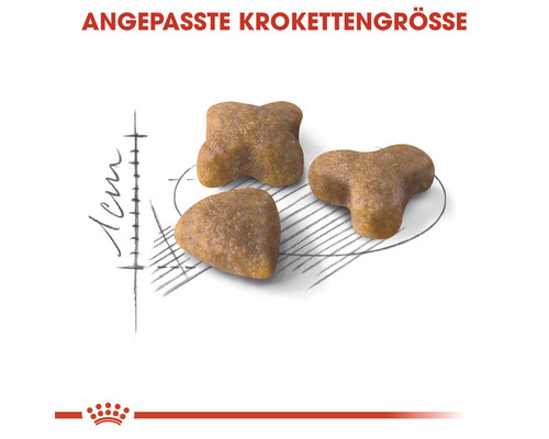 Katzentrockenfutter in angepasster Krokettengröße