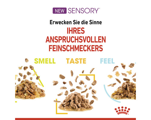 Katzenfutter zur Anregung der Sinne von anspruchsvollen Katzen.