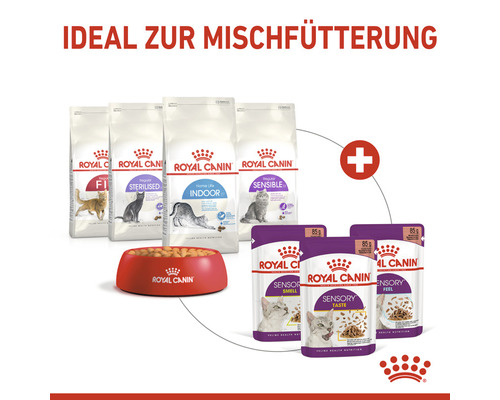 Royal Canin Katzennahrung Set mit Trocken- und Feuchtfutter sowie Futternapf