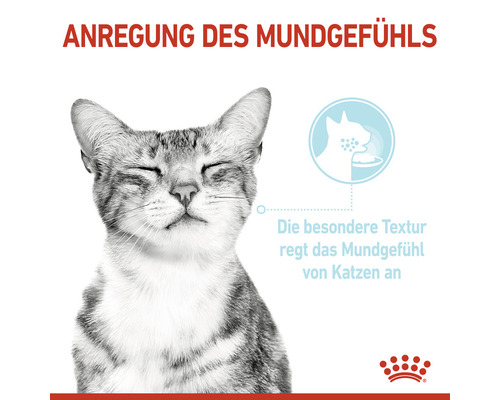 Katze mit geschlossenen Augen zur Veranschaulichung der Anregung des Mundgefühls durch die besondere Textur des Katzenfutters.