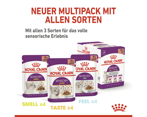 Royal Canin Multipack Katzennahrung mit verschiedenen Geschmacksrichtungen