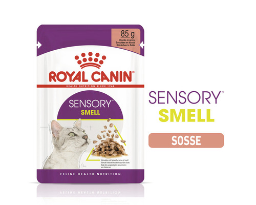 Royal Canin Sensory Smell Katzenfutter im 85-Gramm-Beutel