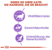 ROYAL CANIN Katzenfutter Sterilised +7 - 3.5 kg