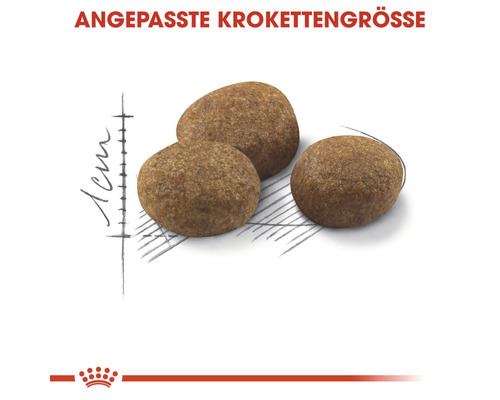 Drei Hundefutterkroketten mit Größenangabe