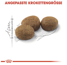 Katzenfutter trocken ROYAL CANIN Sterilised 2 kg