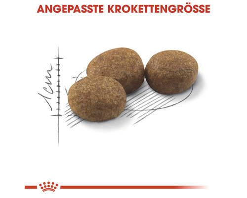 Nahaufnahme von drei Hundekroketten mit Größenangabe