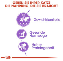 Katzenfutter trocken ROYAL CANIN Sterilised 4 kg
