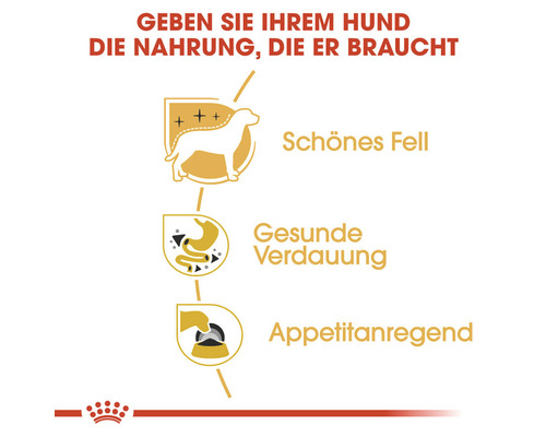 Vorteile von Hundefutter: Schönes Fell, gesunde Verdauung, appetitanregend