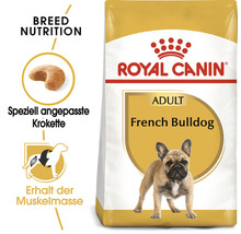 Hundefutter trocken ROYAL CANIN French Bulldog Adult 9 kg-thumb-1