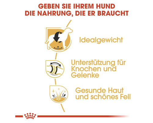 Unterstützung für Idealgewicht, Knochen, Gelenke, gesunde Haut und schönes Fell für Hunde