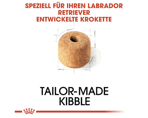 Krokette speziell für Labrador Retriever
