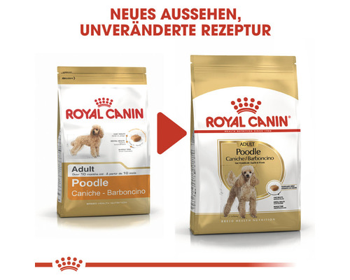 Zwei Packungen Royal Canin Adult Hundefutter für Pudel, neues Aussehen, unveränderte Rezeptur