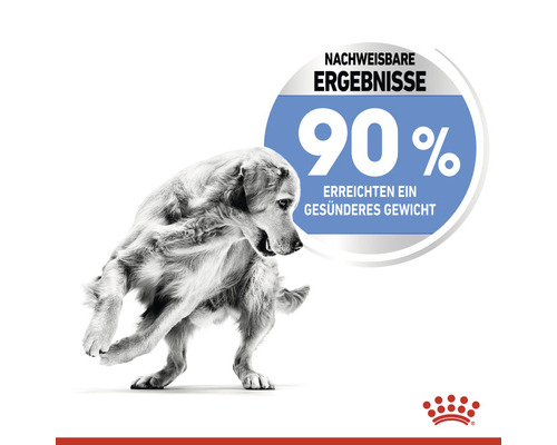 Ein Hund. Neunzig Prozent erreichten ein gesünderes Gewicht.