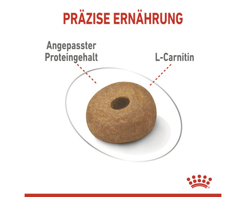 Hundefutterkroketten mit angepasstem Proteingehalt und L-Carnitin