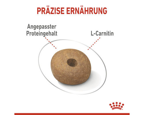 Hundefutterkroketten mit angepasstem Proteingehalt und L-Carnitin
