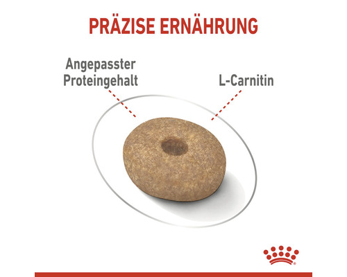 Hundefutterkroketten mit angepasstem Proteingehalt und L-Carnitin