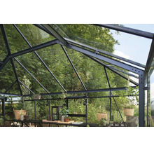 Gewächshaus Juliana Grand Oase inkl. Sicherheitsglas 3 mm 439 x 583 cm anthrazit/schwarz