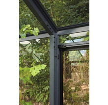 Gewächshaus Juliana Grand Oase inkl. Sicherheitsglas 3 mm 439 x 583 cm anthrazit/schwarz