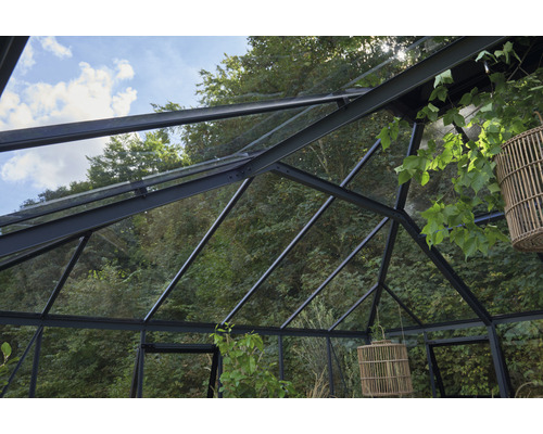 Blick in das Innere eines Gewächshauses mit Stahlrahmen und Glasdach
