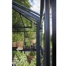 Gewächshaus Juliana Grand Oase inkl. Sicherheitsglas 3 mm 439 x 583 cm anthrazit/schwarz