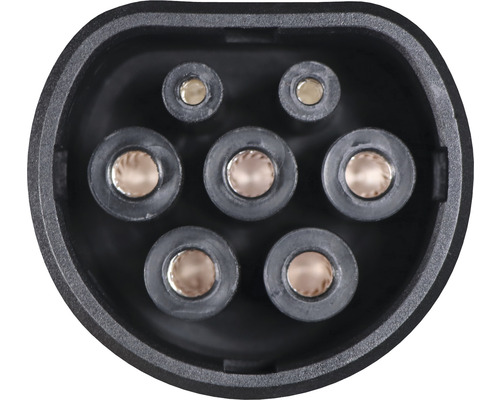 Steckverbinder mit sieben Kontakten