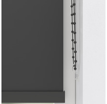Rollo mit Kettenzug zur Fensterdekoration