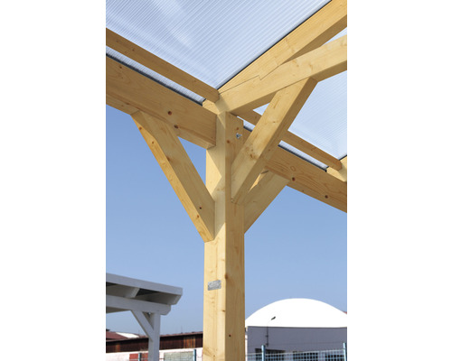 Vue détaillée d''une structure en bois avec un toit transparent