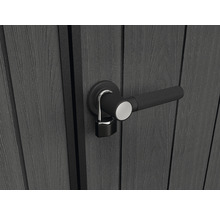 Porte avec poignée de porte et cadenas