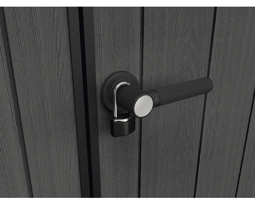 Porte avec poignée de porte et cadenas