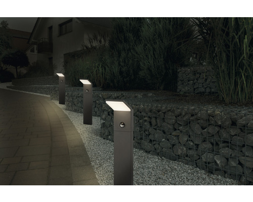 Aménagement extérieur éclairé avec plusieurs bornes lumineuses le long d''un chemin et d''un mur de gabions