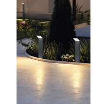Chemin de jardin éclairé avec plusieurs bornes lumineuses.