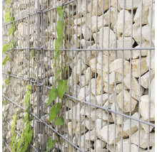Basisbausatz bellissa Mauersystem limes 23 227 x 150 cm