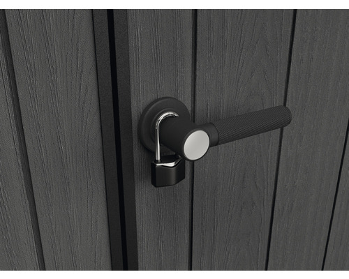 Detailansicht einer Gartentür mit Griff und Vorhängeschloss