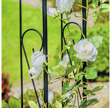 Rosenbogen mit Spitze Wilk 190 x 27 x 289 cm silber