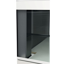 Kit complet d'aquarium EHEIM incpiria 230 avec éclairage à LED et meuble bas éclairé graphite