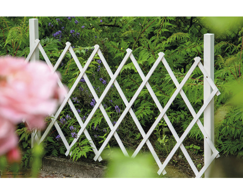 Support à plantes grimpantes blanc en bois devant des plantes dans le jardin