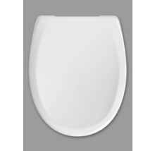 Abattant de WC en céramique sanitaire, vue de dessus