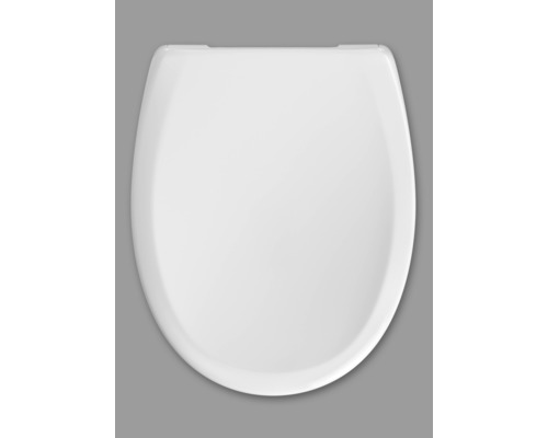 Abattant de WC en céramique sanitaire, vue de dessus