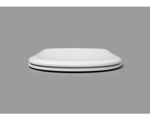 Abattant de WC en plastique