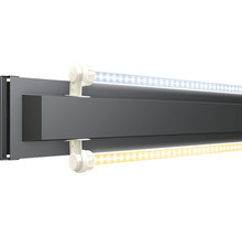 LED Aquarienleuchte mit zwei Leuchtstoffröhren