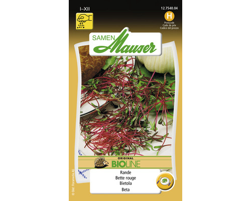 Set de graines de betterave rouge pour la culture