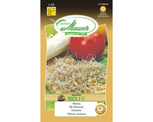 Saatgutpackung Weizen