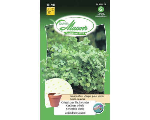 Samen Mauser Chinesischer Blattkoriander Saatplatte