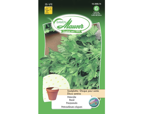 Sachet de graines de persil