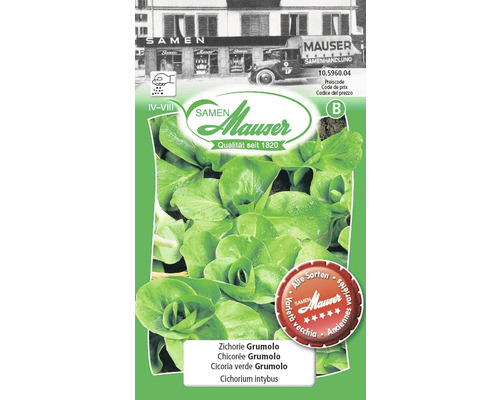 Sachet de graines de chicorée Grumolo