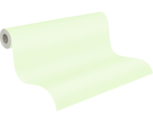 Rouleau de tissu non tissé pour peintre