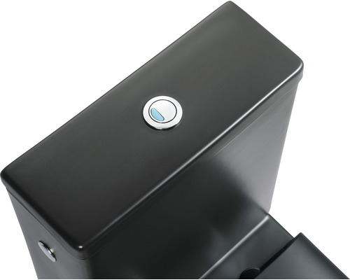 Detailaufnahme des Spülkastens einer Toilette