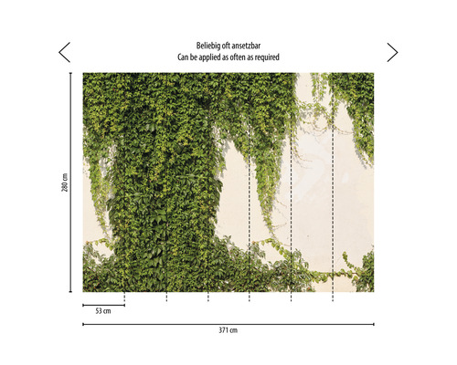 Wandtapete mit grüner Efeubewachsung, Maße 371 cm x 280 cm