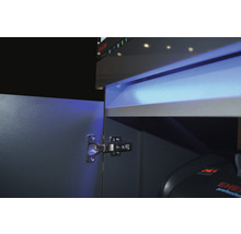 Ensemble d'aquariums EHEIM incpiria 430 avec éclairage à LED et meuble bas éclairé alpin