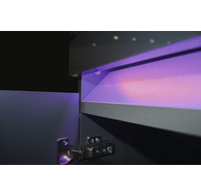 Ensemble d'aquariums EHEIM incpiria 530 graphite